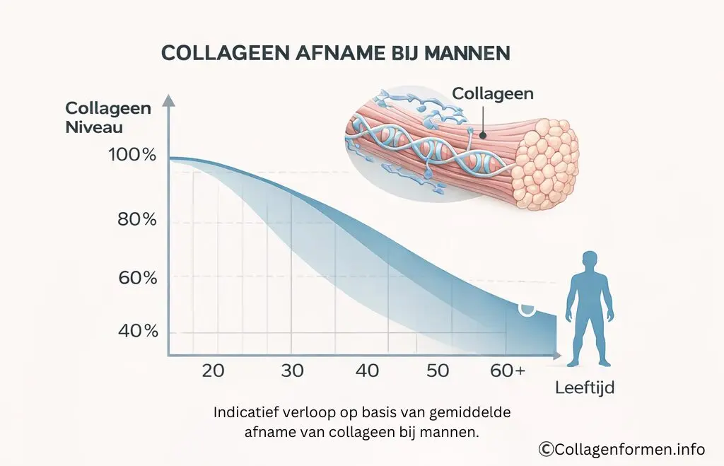 Indicatieve afname van collageen bij mannen per leeftijd